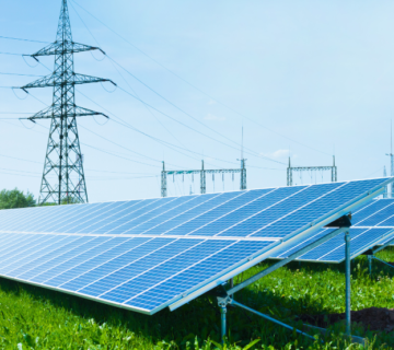 Grid Compliance Study
