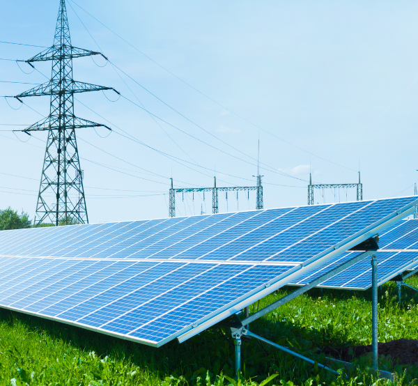 Grid Compliance Study
